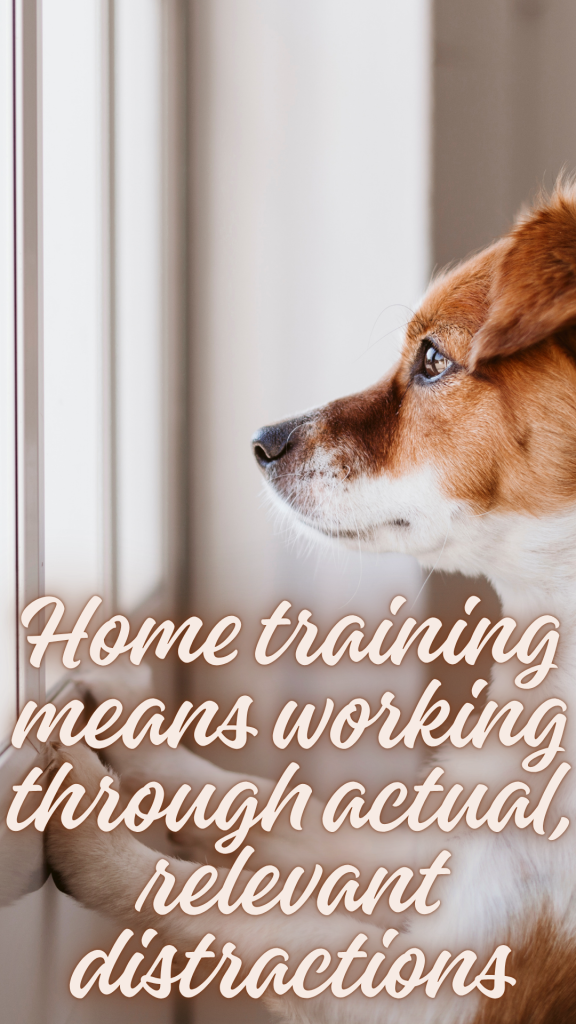 Home training