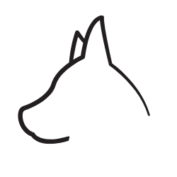 K9BS Dog Training Southeast Ga