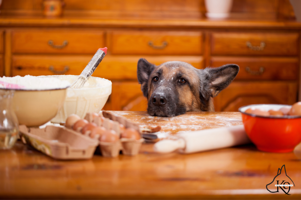 mischievous-looking dog with a guilty expression next to a mess in the kitchen.