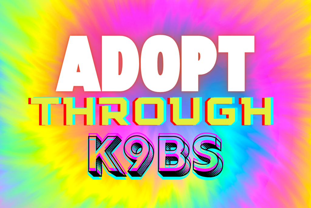 Adopt A Dog