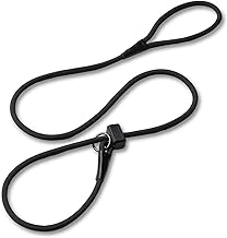 professional dog training lead
